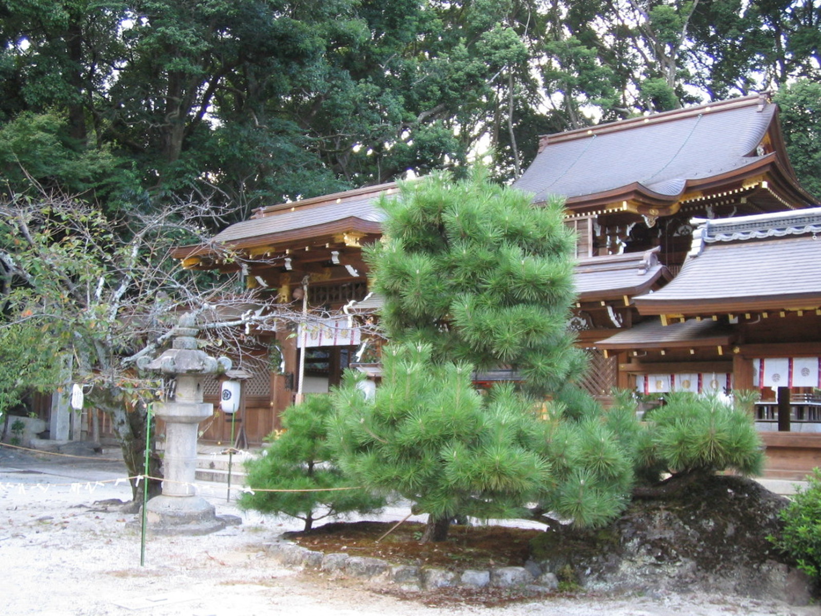 Kyoto Imamiya Jinja